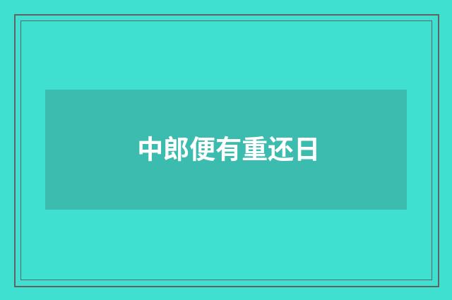 中郎便有重还日