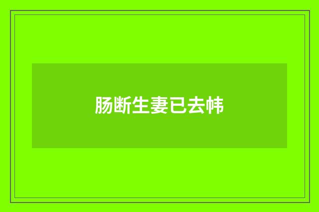 肠断生妻已去帏