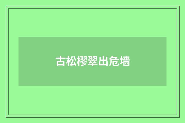 古松樛翠出危墙