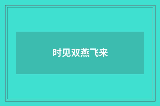 时见双燕飞来