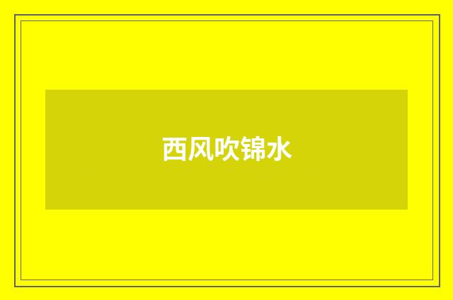 西风吹锦水