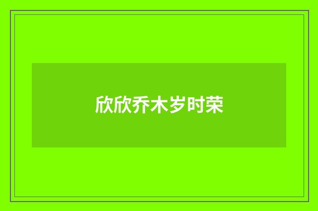 欣欣乔木岁时荣