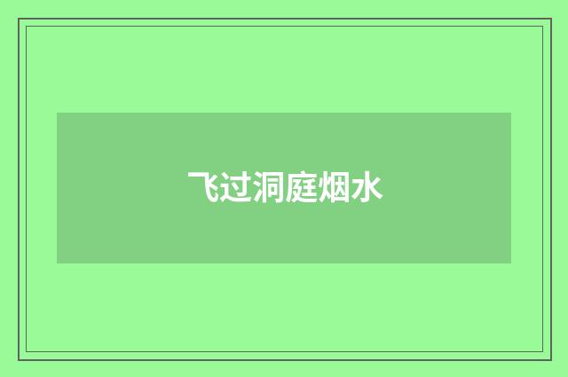 飞过洞庭烟水