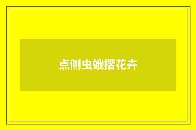 点侧虫蛾摺花卉