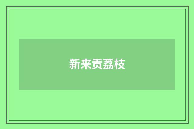 新来贡荔枝