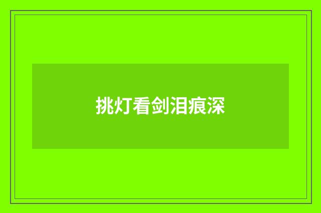 挑灯看剑泪痕深