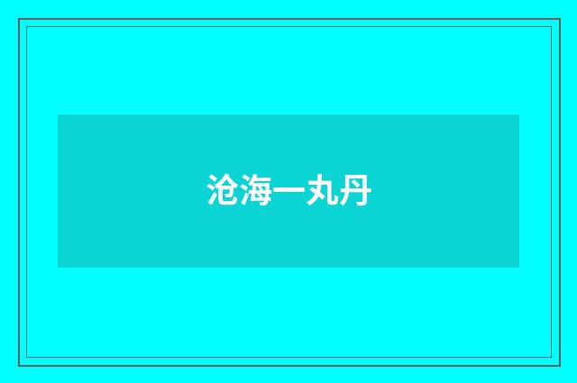 沧海一丸丹