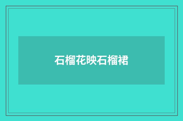 石榴花映石榴裙