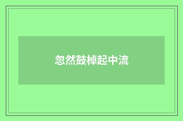 忽然鼓棹起中流
