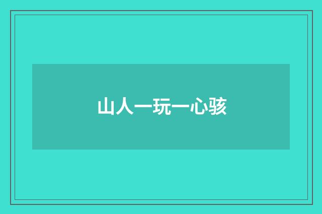 山人一玩一心骇