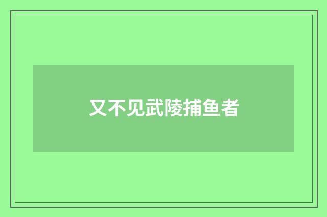 又不见武陵捕鱼者