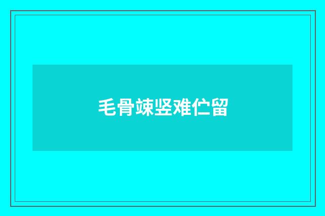 毛骨竦竖难伫留