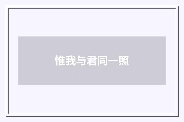 惟我与君同一照