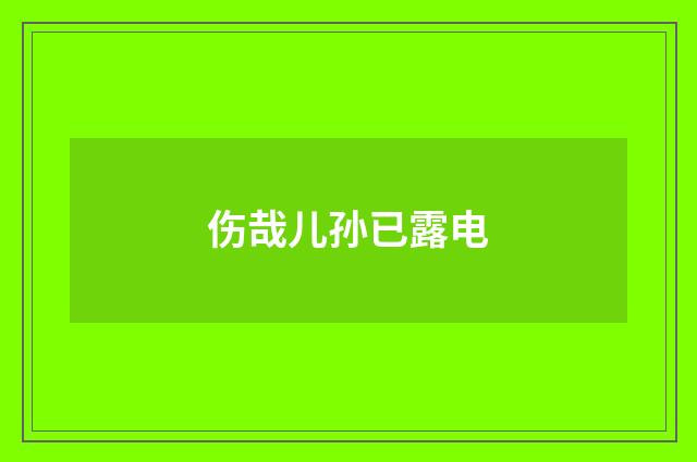 伤哉儿孙已露电