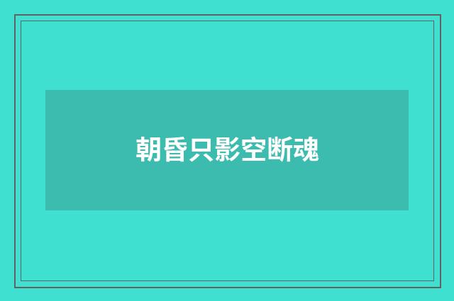 朝昏只影空断魂