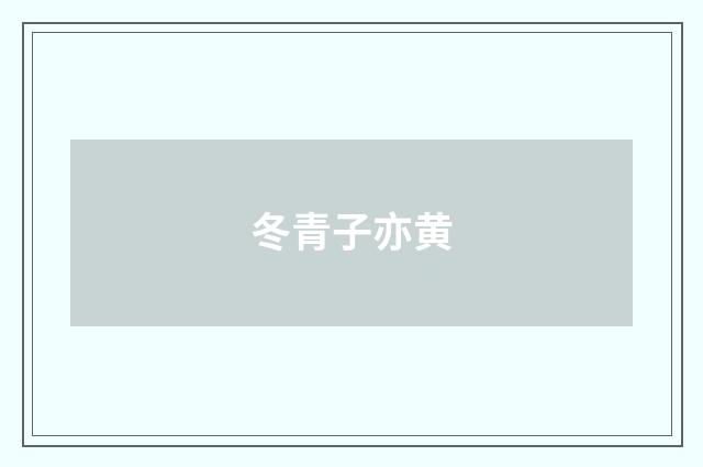 冬青子亦黄