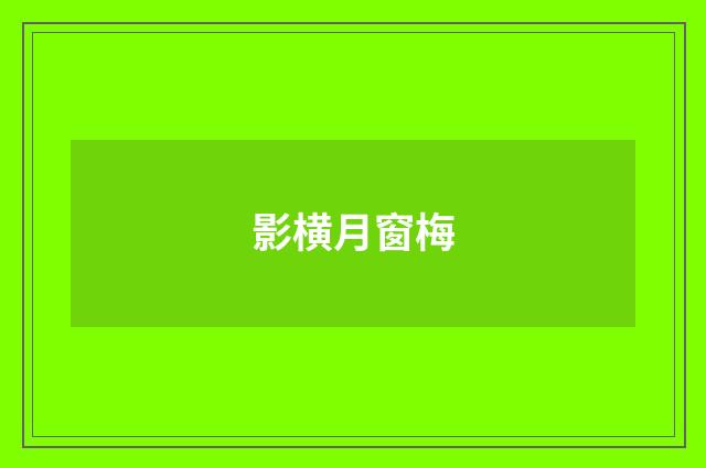影横月窗梅