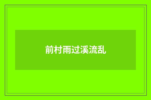 前村雨过溪流乱
