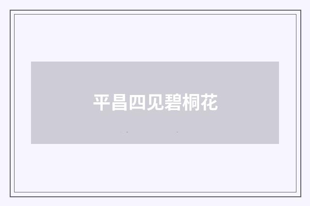 平昌四见碧桐花