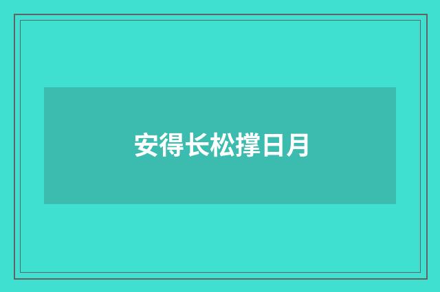 安得长松撑日月