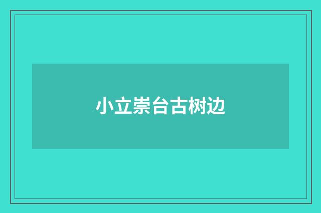小立崇台古树边