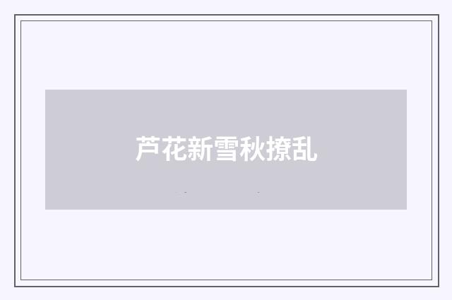 芦花新雪秋撩乱