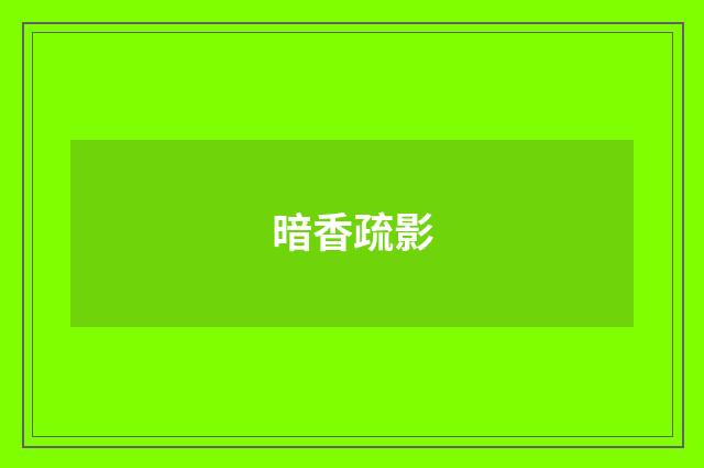 暗香疏影