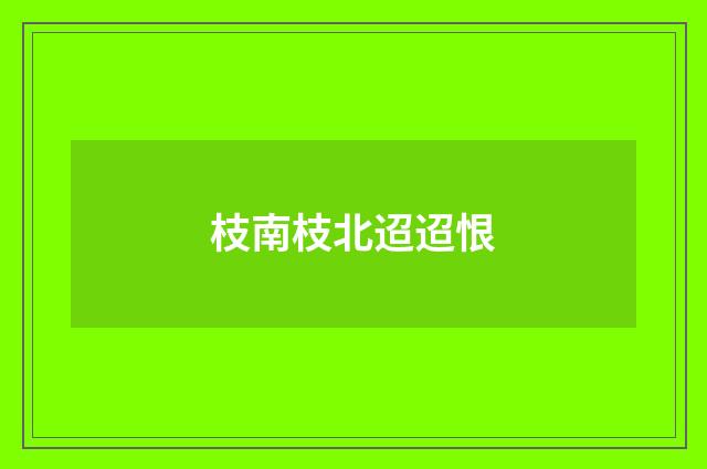 枝南枝北迢迢恨