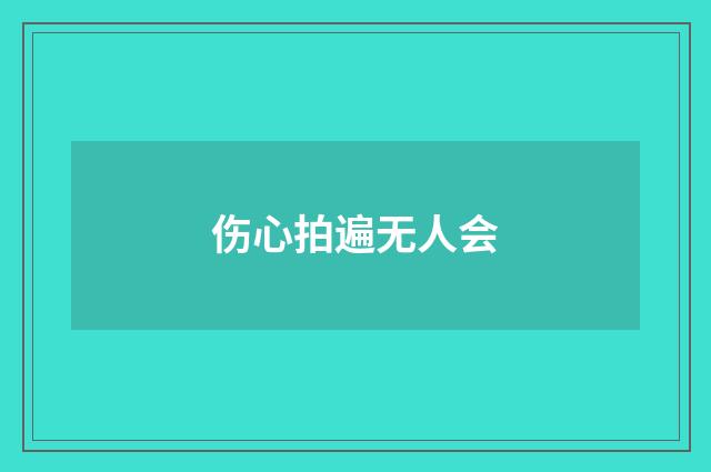 伤心拍遍无人会