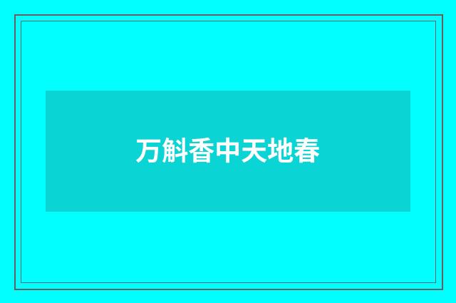 万斛香中天地春