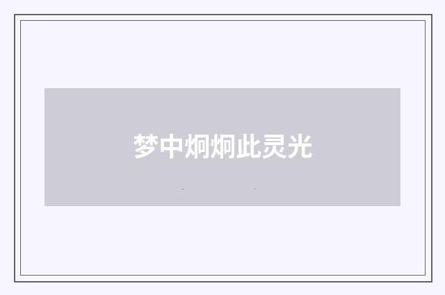 梦中炯炯此灵光