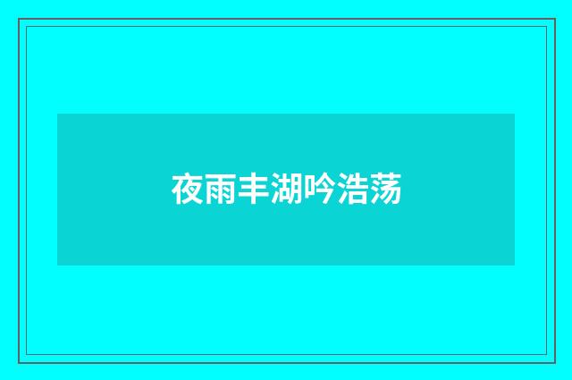 夜雨丰湖吟浩荡