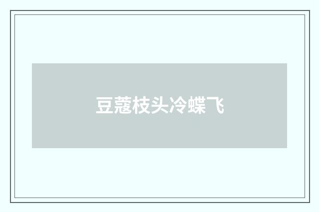 豆蔻枝头冷蝶飞