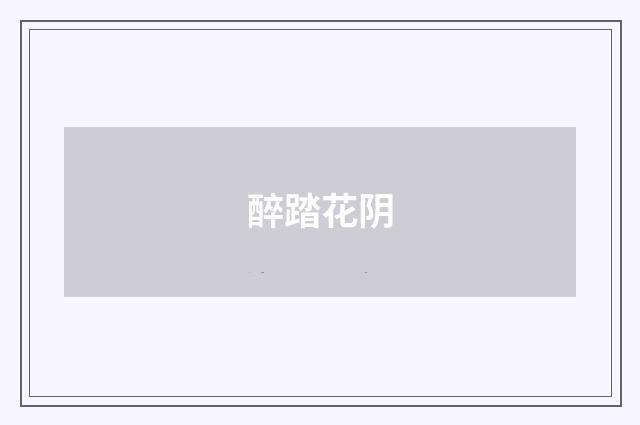 醉踏花阴