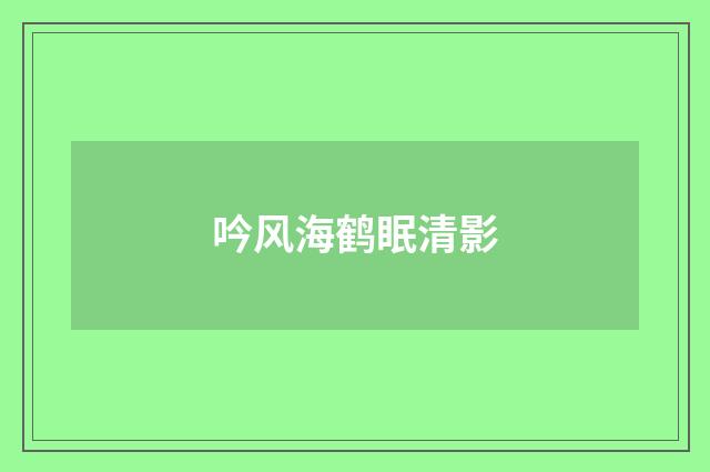 吟风海鹤眠清影