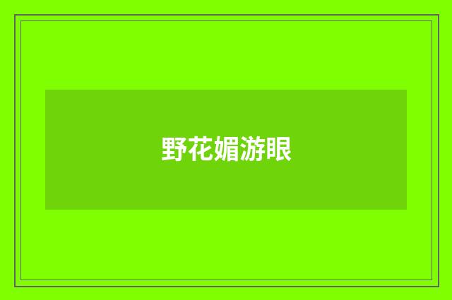 野花媚游眼