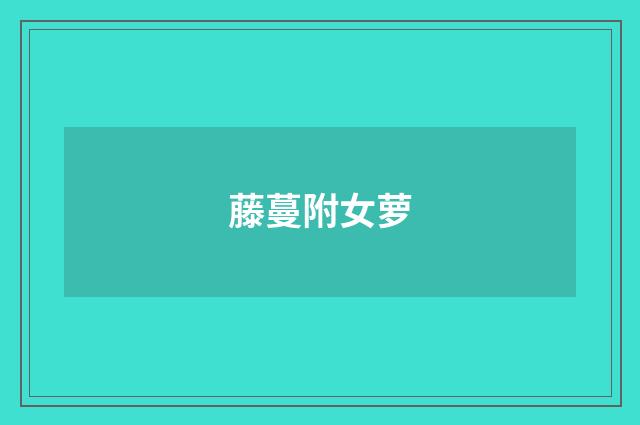 藤蔓附女萝