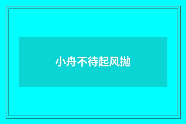 小舟不待起风抛