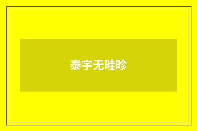 泰宇无畦畛