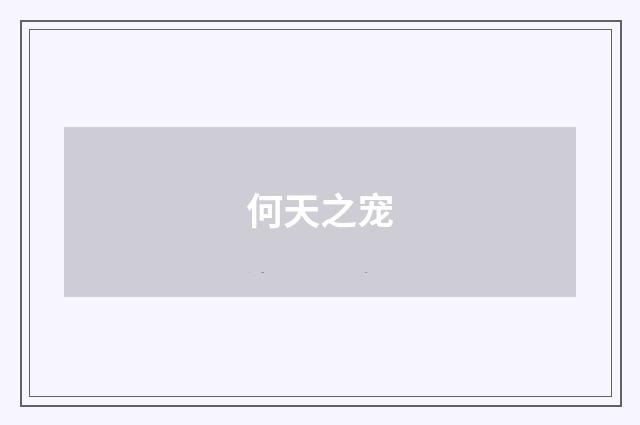何天之宠