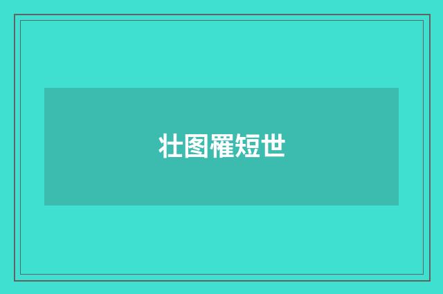 壮图罹短世