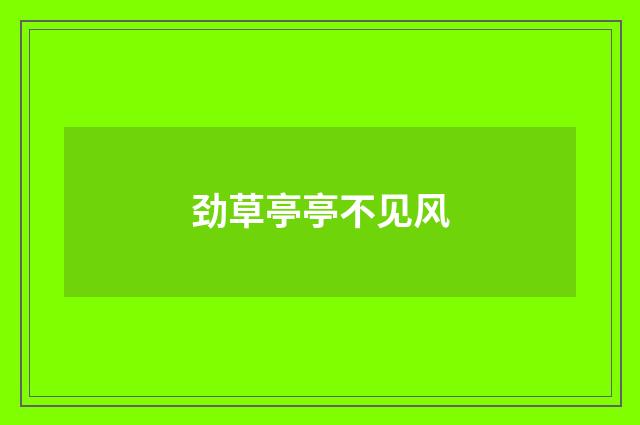 劲草亭亭不见风
