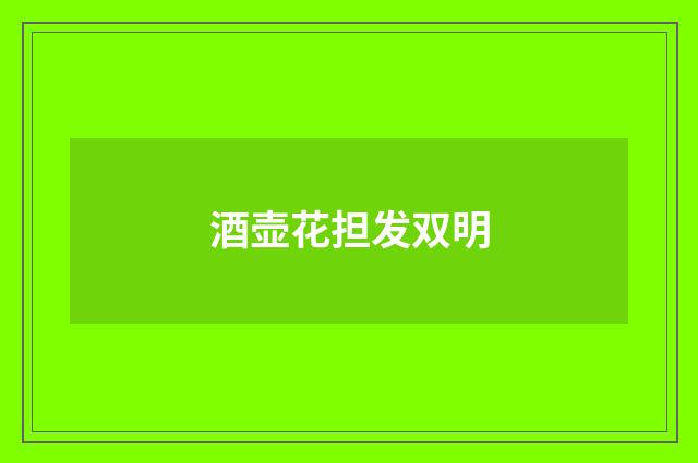 酒壶花担发双明