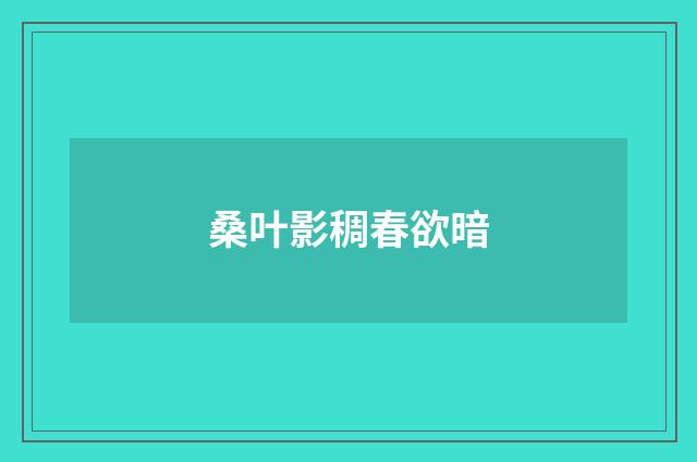 桑叶影稠春欲暗