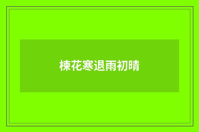 楝花寒退雨初晴
