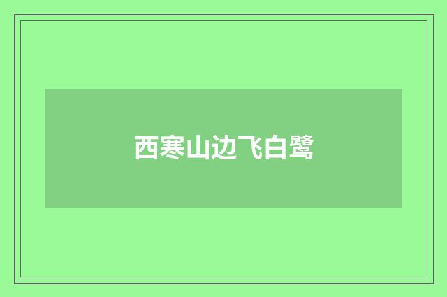 西寒山边飞白鹭