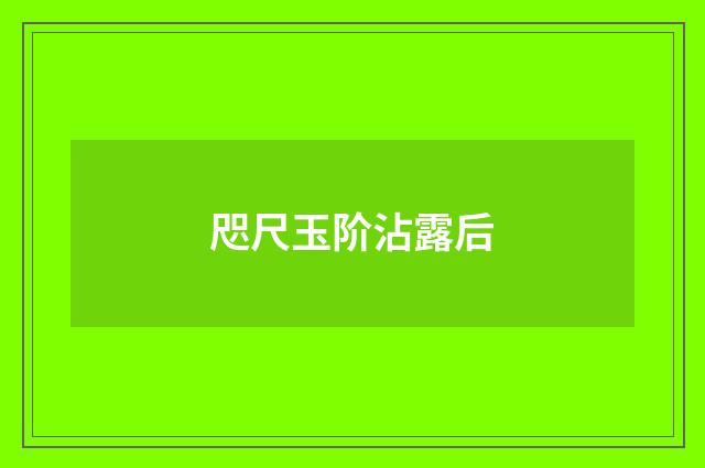 咫尺玉阶沾露后