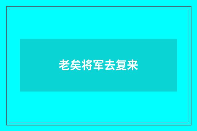 老矣将军去复来