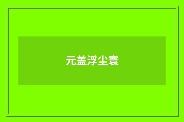 元盖浮尘寰