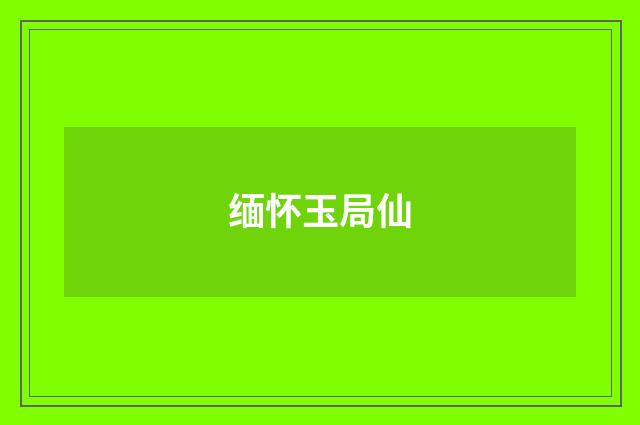 缅怀玉局仙